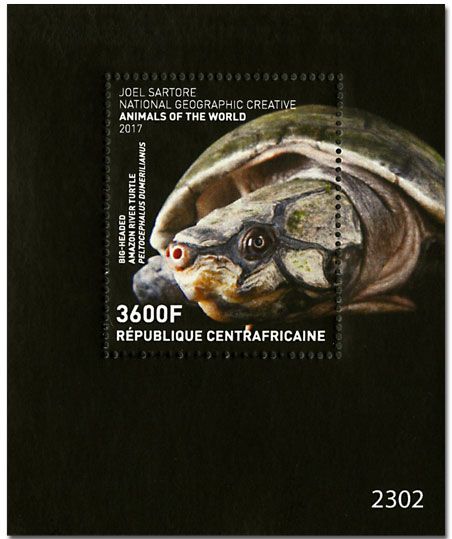 n° 1188 - Timbre CENTRAFRICAINE Blocs et feuillets n° 1188 - Timbre CENTRAFRICAINE Blocs et feuillets