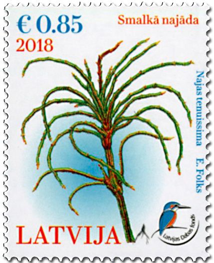 n° 1024 - Timbre LETTONIE Poste n° 1024 - Timbre LETTONIE Poste