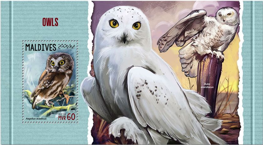 n° 1116 - Timbre MALDIVES Blocs et feuillets n° 1116 - Timbre MALDIVES Blocs et feuillets
