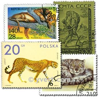 FELINS : pochette de 100 timbres (Oblitérés)