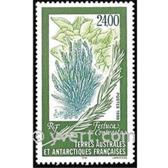 nr. 244 -  Stamp French Southern Territories Mail