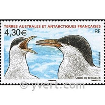 nr. 553 -  Stamp French Southern Territories Mail